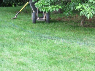 Lawn Care, Bloomington, IN