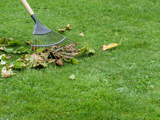 Lawn Care, Springville, IN