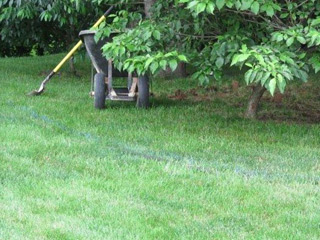 Lawn Care Tips, Bloomington, IN