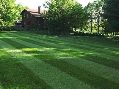 Lawn Care Tips, Bloomington, IN