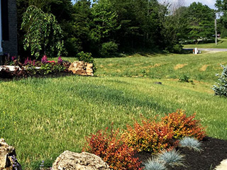 Lawn Care Vs Landscaping, Bloomington, IN