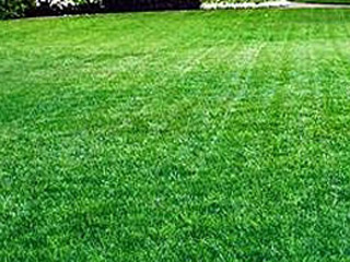 Lawn Care Services, Bloomington, IN