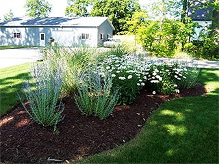 Landscape Maintenance, Springville, IN